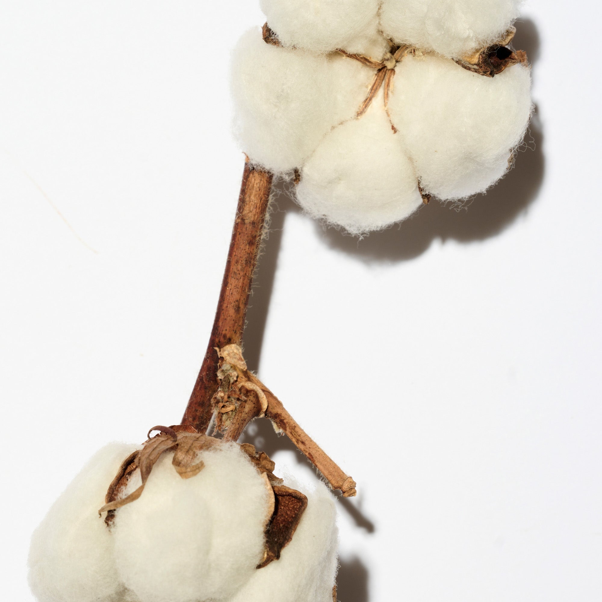 LYNVË SILKY SMOOTH Szampon do włosów 250 ml #5